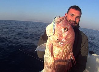 SLOW JIG TRANÇA AVI YUNANİSTAN trança avı