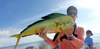 CANLI YEMLE LAMBUKA AVI lambuka avı