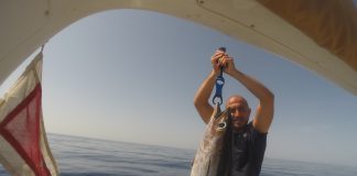 SIRTİ YÖNTEMİYLE TON BALIĞI AVI ton balığı avı