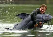 BALIKÇILIKLA İLGİLİ FİLMLER big fish