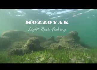 LRF YÖNTEMİYLE BİRKAÇ BALIK lrf