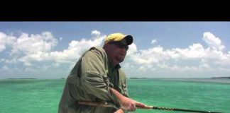 AT-ÇEK TARPON BALIĞI AVI tarpon