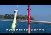 POPPING AKSİYONU popper