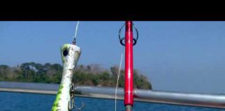 POPPING AKSİYONU popper