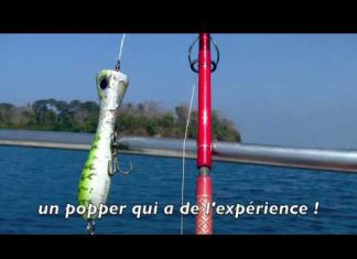 POPPING AKSİYONU popper