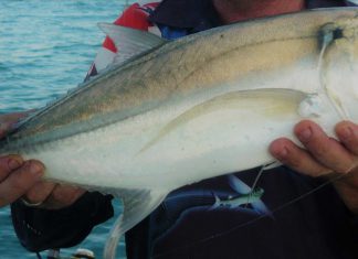 GENEL BİLGİ JIGGING jigging