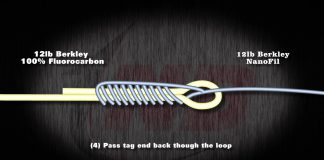 ALBRIGHT KNOT ANİMASYONU albright