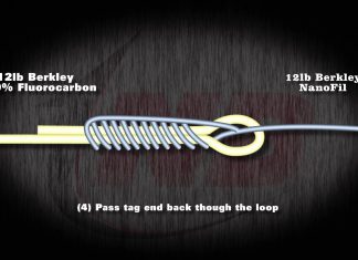 ALBRIGHT KNOT ANİMASYONU albright