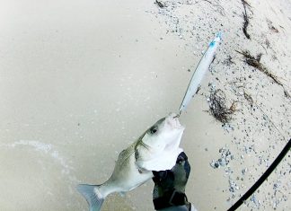 AT-ÇEK GENEL BİLGİ spin