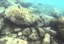 GENEL BİLGİ LIGHT ROCK FISHING lrf