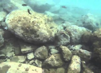 GENEL BİLGİ LIGHT ROCK FISHING lrf