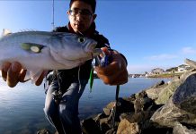 LRF AKSİYONLARI lrf