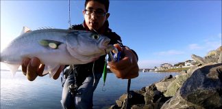 LRF AKSİYONLARI lrf