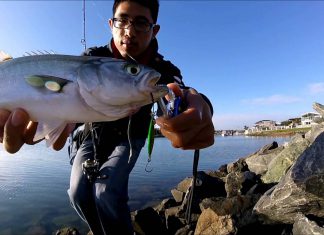 LRF AKSİYONLARI lrf