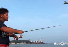 SHORE JIGGING AKSİYONLAR shore jig