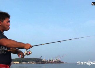 SHORE JIGGING AKSİYONLAR shore jig