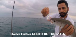 SLOW JIGGING AKSİYONLAR ali bumin
