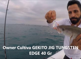 SLOW JIGGING AKSİYONLAR ali bumin
