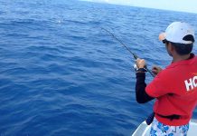 SPEED JIGGING AKSİYONLAR speed jig