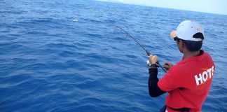 SPEED JIGGING AKSİYONLAR speed jig