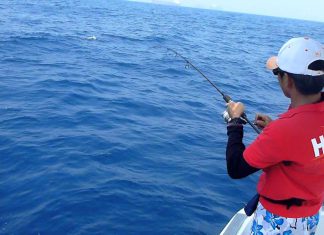 SPEED JIGGING AKSİYONLAR speed jig