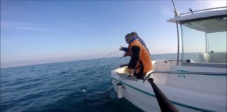 AYNI ANDA İKİ VURUŞ ve İKİ GÜZEL BALIK graphiteleader