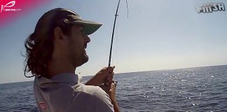 AT ÇEK SİNARİT AVI sinarit dentex