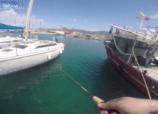 LRF YÖNTEMİYLE ZARGANA AVI lrf