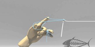 FG KNOT ANİMASYONU fg knot