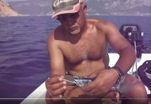 SARIKURUK SIRTİSİ İÇİN YEM HAZIRLIĞI sirti sarikuyruk