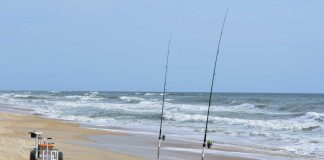 YENİ BAŞLAYANLAR İÇİN SURF CASTING surf