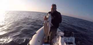 10 KG ÜZERİ GRANYÖZ AVI ADANA-AKDENİZ