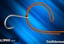 PALAMAR DÜĞÜMÜ (KNOT)