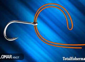 PALAMAR DÜĞÜMÜ (KNOT)