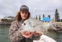 LRF Yöntemiyle Limandan Yakalanan Çupralar