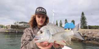 LRF Yöntemiyle Limandan Yakalanan Çupralar