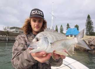 LRF Yöntemiyle Limandan Yakalanan Çupralar