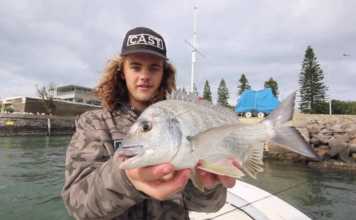 LRF Yöntemiyle Limandan Yakalanan Çupralar