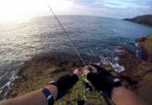 LRF YÖNTEMİYLE USKUMRU AVI