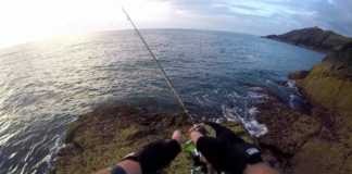 LRF YÖNTEMİYLE USKUMRU AVI