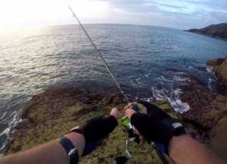 LRF YÖNTEMİYLE USKUMRU AVI