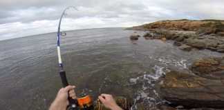 RESİFLERDE KÖPEK BALIĞI AVI