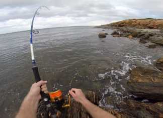 RESİFLERDE KÖPEK BALIĞI AVI