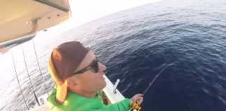 ALAÇATI’DA SİNARİT AVI