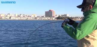 ANTALYA’DA JIG AVI