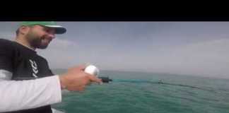 SLOW JİG ZÜBER AVI