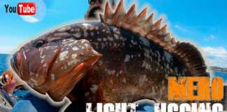 YAKALA BIRAK ORFOZ AVI