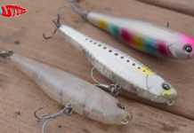 ALİAĞA BALIK AVI FESTİVALİ