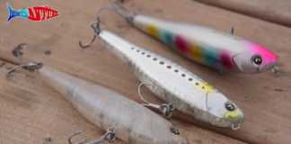 ALİAĞA BALIK AVI FESTİVALİ