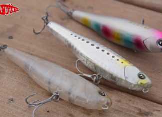 ALİAĞA BALIK AVI FESTİVALİ